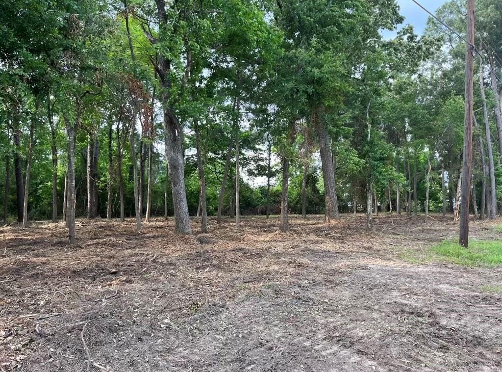 4000 Ellen Trout Drive Property Photo 13