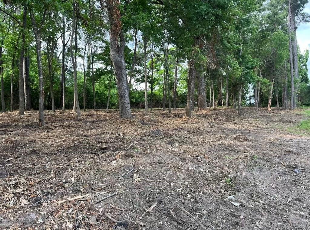 4000 Ellen Trout Drive Property Photo 14