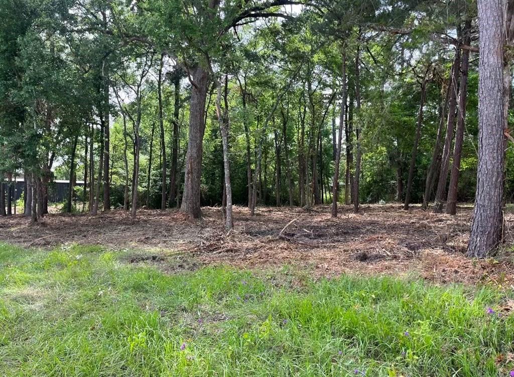 4000 Ellen Trout Drive Property Photo 15