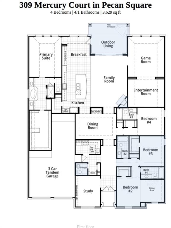 309 Mercury Court Property Photo 23