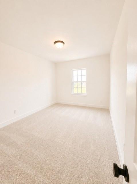 3140 Shaddock Boulevard Property Photo 26