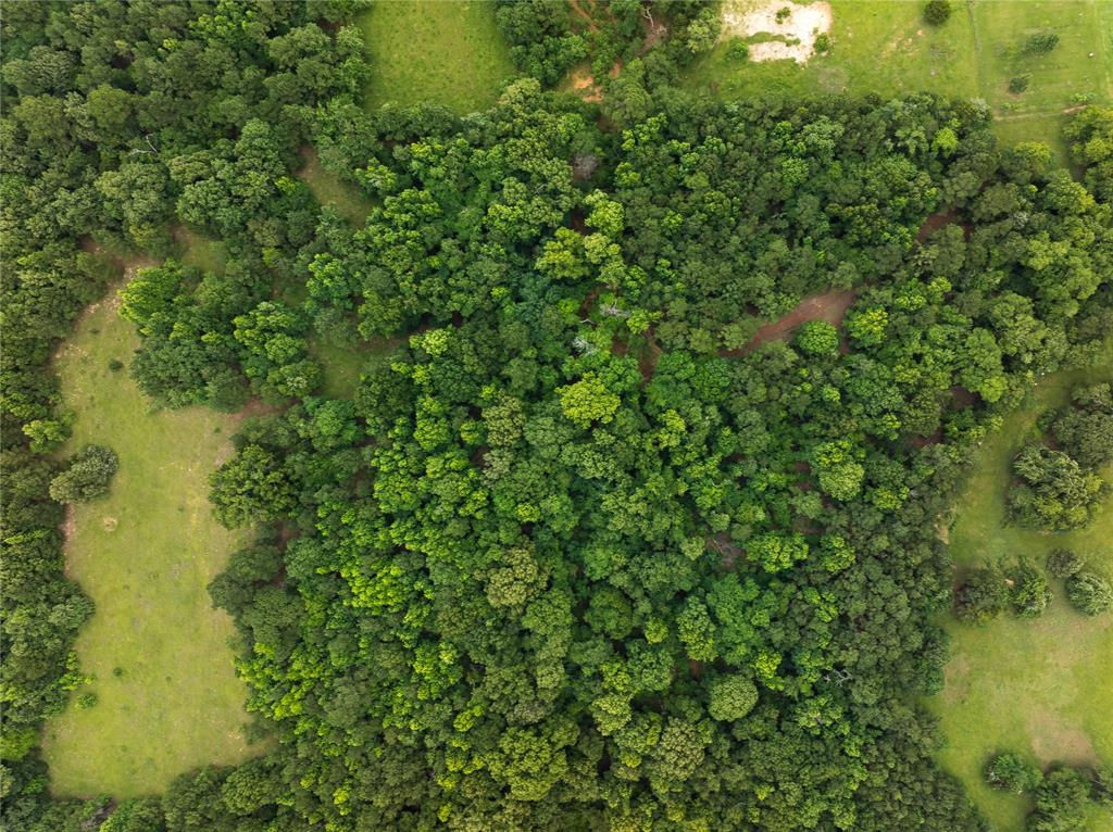 519 An County Road 450 Property Photo 29