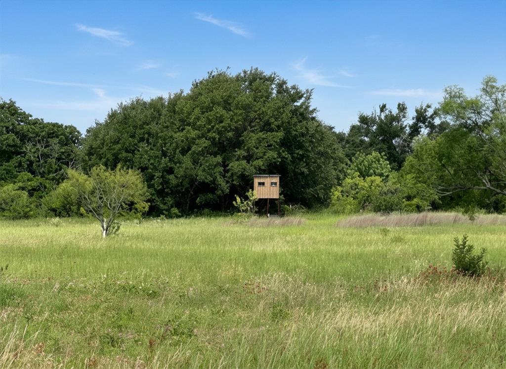38 White Wing Circle Property Photo 1