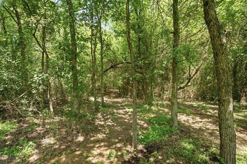 8 Freedom Court Property Photo 35