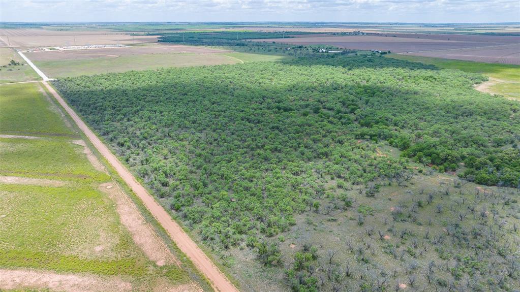 Tbd Cr 260 Property Photo 6