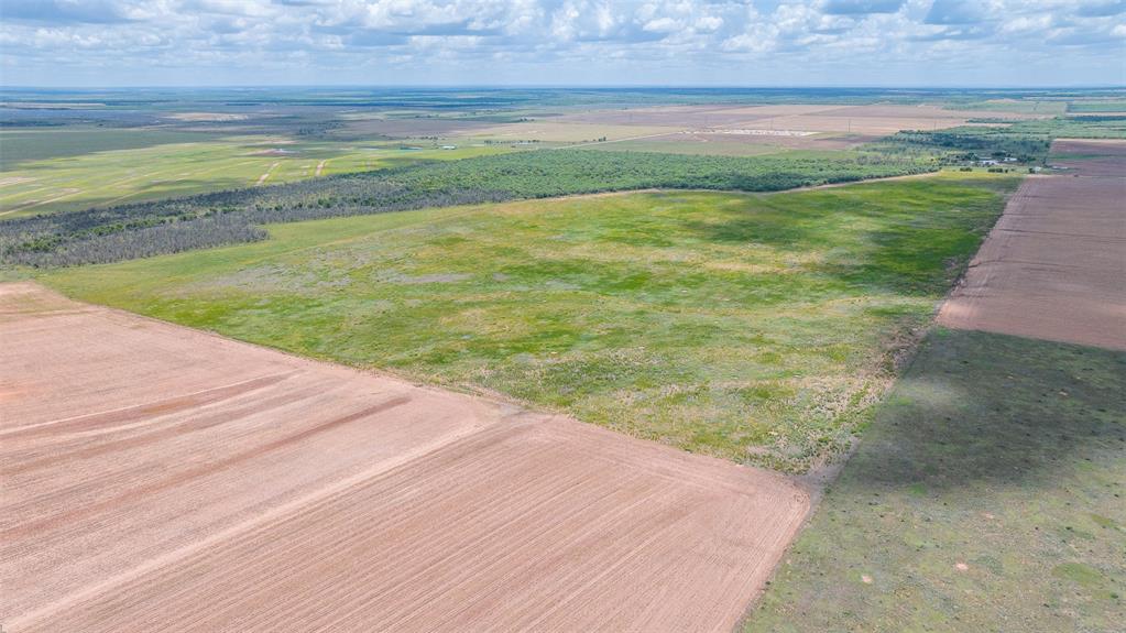 Tbd Cr 260 Property Photo 8