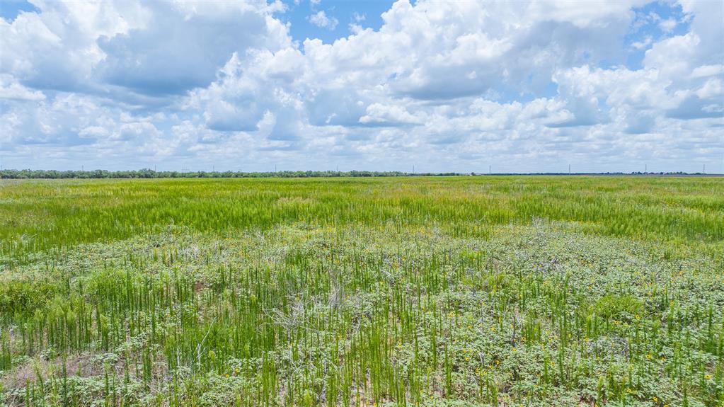 Tbd Cr 260 Property Photo 9