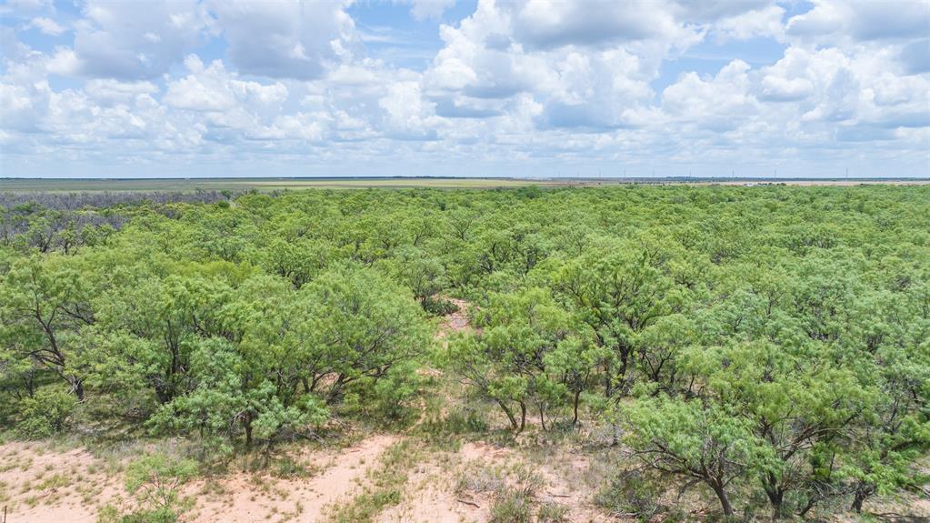 Tbd Cr 260 Property Photo 11