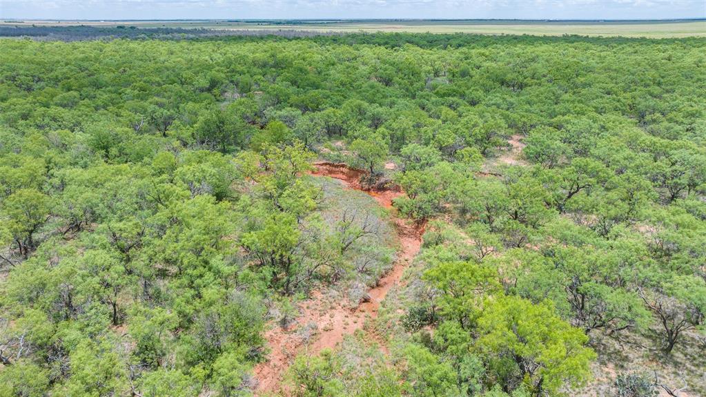 Tbd Cr 260 Property Photo 13