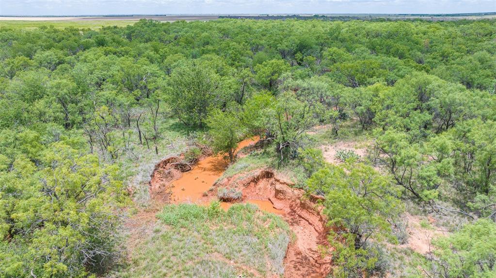 Tbd Cr 260 Property Photo 14