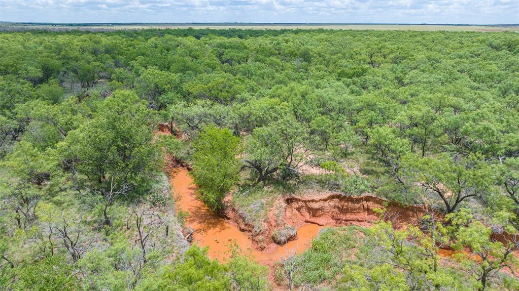 Tbd Cr 260 Property Photo 15
