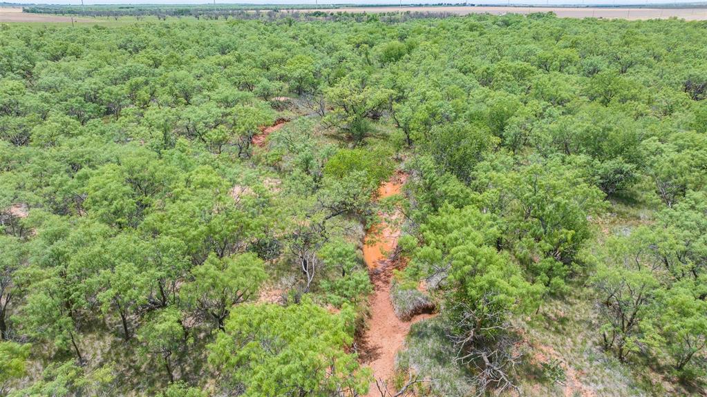 Tbd Cr 260 Property Photo 16