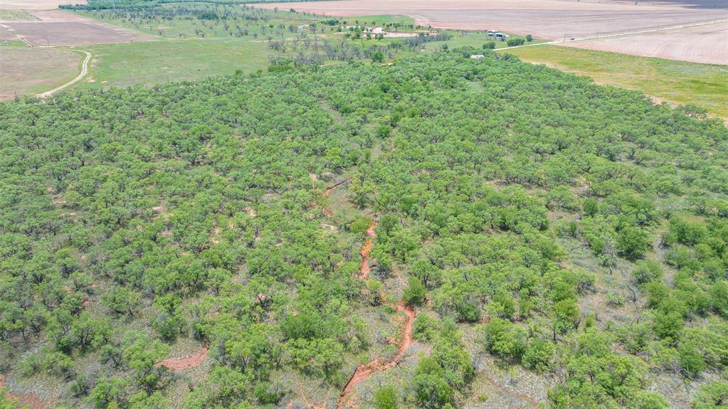 Tbd Cr 260 Property Photo 17