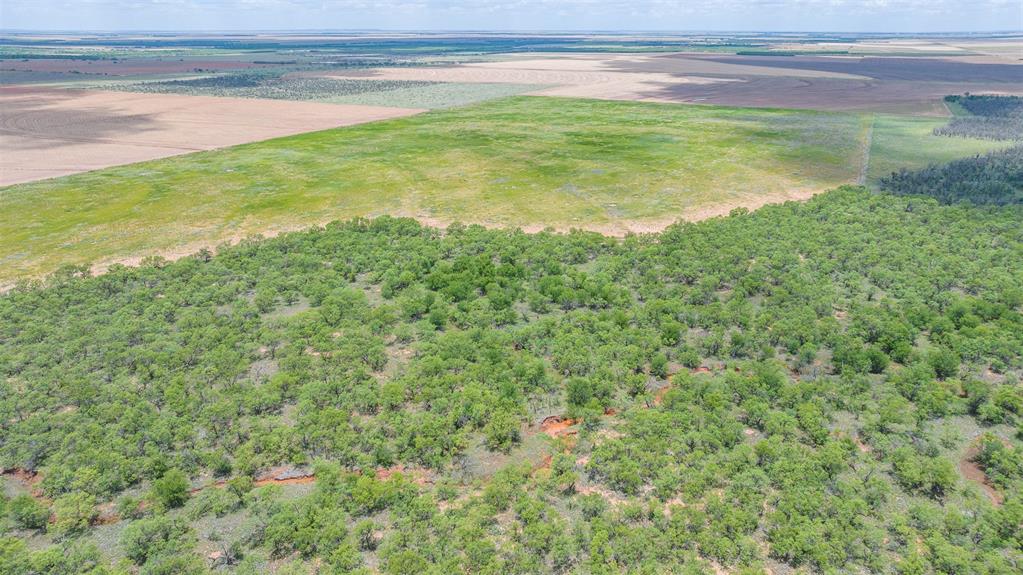 Tbd Cr 260 Property Photo 18