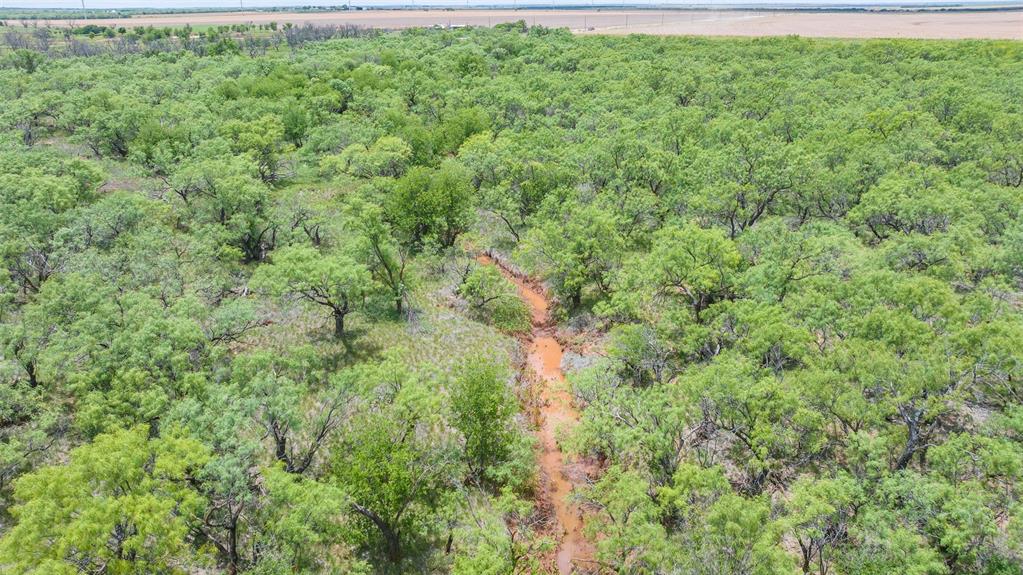 Tbd Cr 260 Property Photo 19