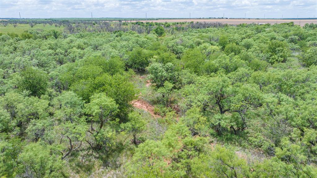 Tbd Cr 260 Property Photo 20