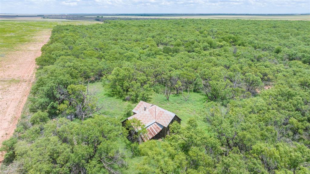 Tbd Cr 260 Property Photo 21