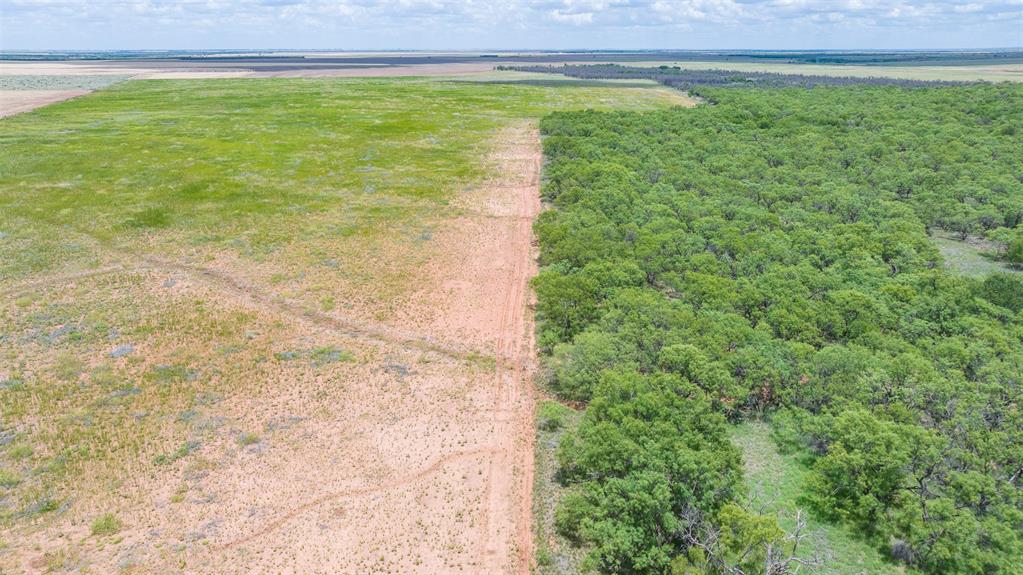 Tbd Cr 260 Property Photo 25