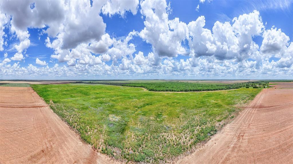 Tbd Cr 260 Property Photo 27