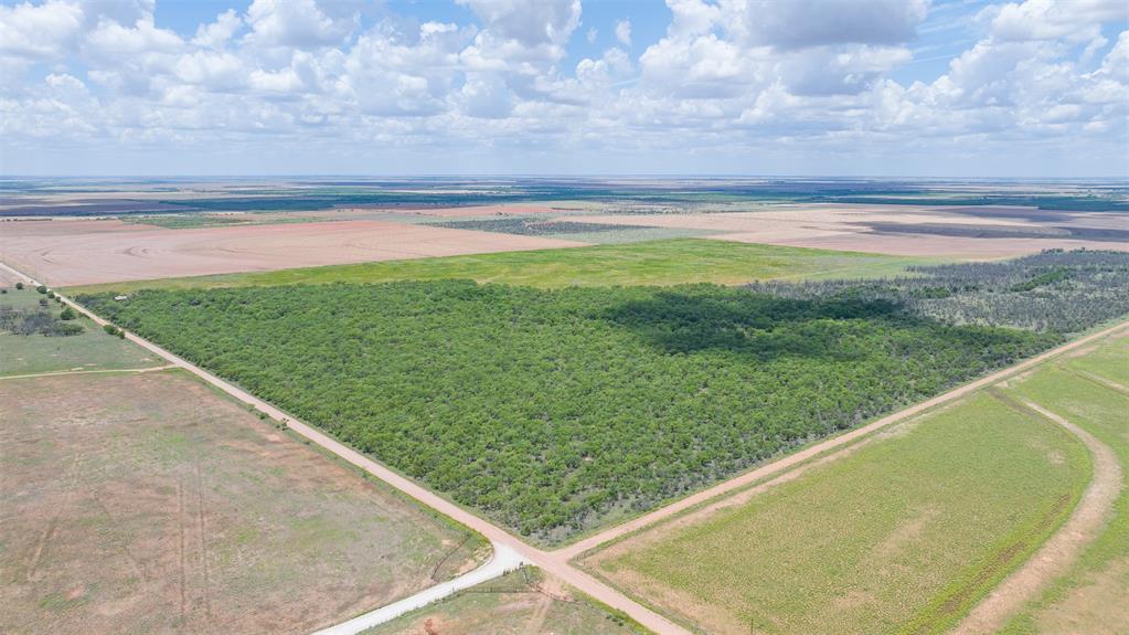 Tbd Cr 260 Property Photo 28