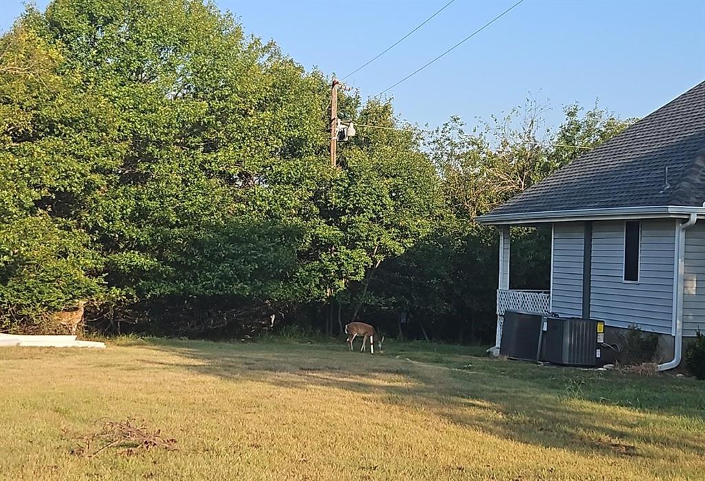 137 Oakview Road Property Photo 31