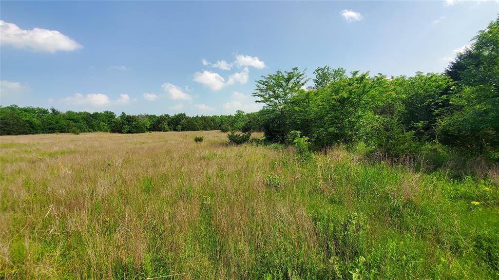 9999 Private Road 1194 Property Photo 2
