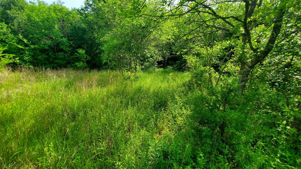 9999 Private Road 1194 Property Photo 4