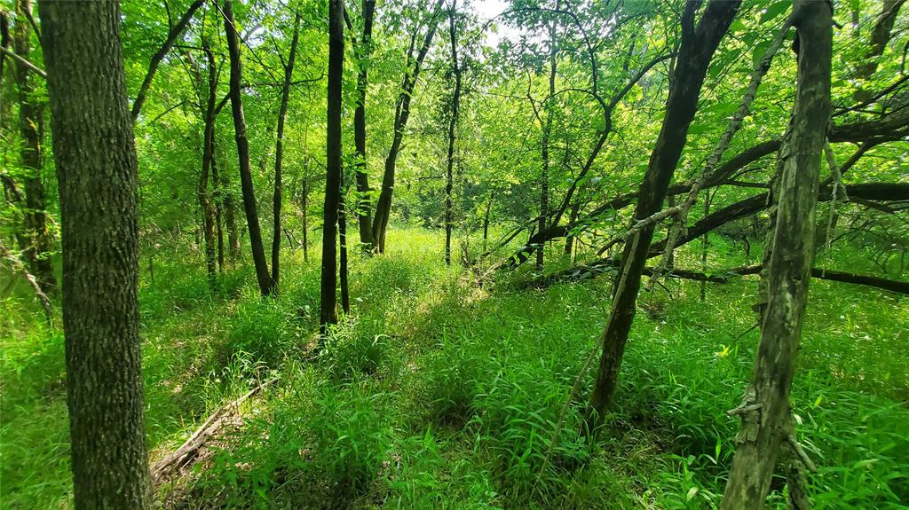 9999 Private Road 1194 Property Photo 6