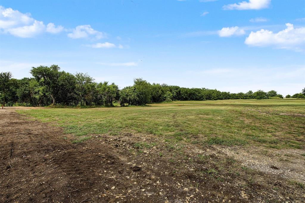 Tbd Lot 1 Fm 981 Property Photo 8