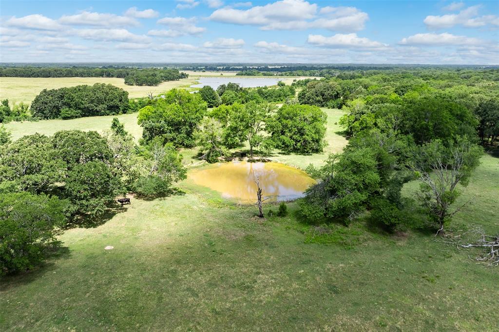 32650 Fm 47 Highway Property Photo 38