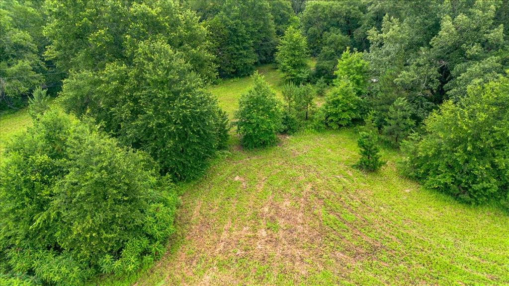 806 County Road 4910 Property Photo 10
