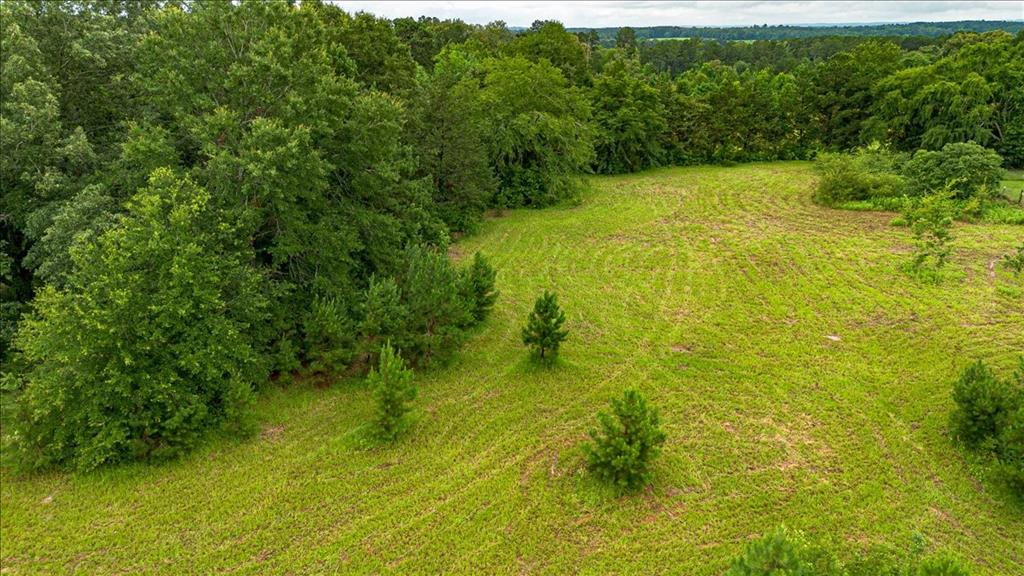 806 County Road 4910 Property Photo 11