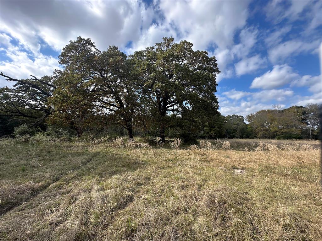 Tbd Lcr 758 Property Photo 2