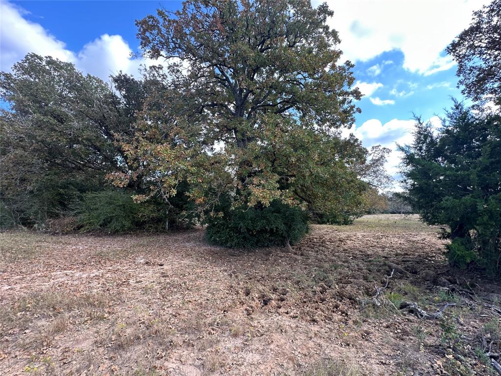Tbd Lcr 758 Property Photo 17
