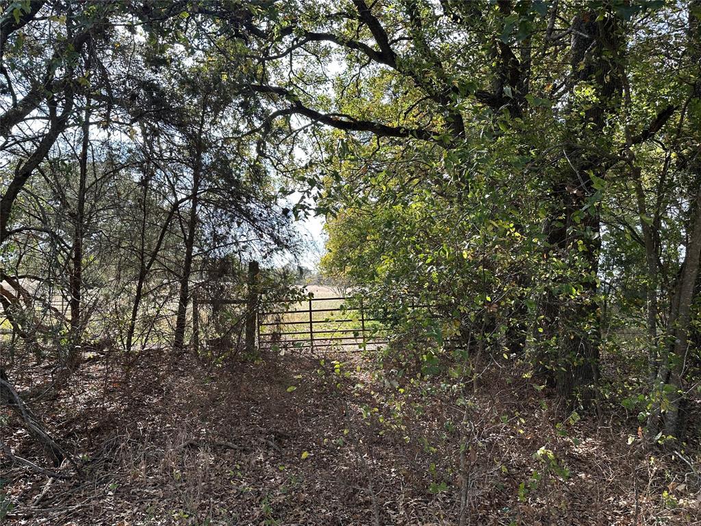 Tbd Lcr 758 Property Photo 20