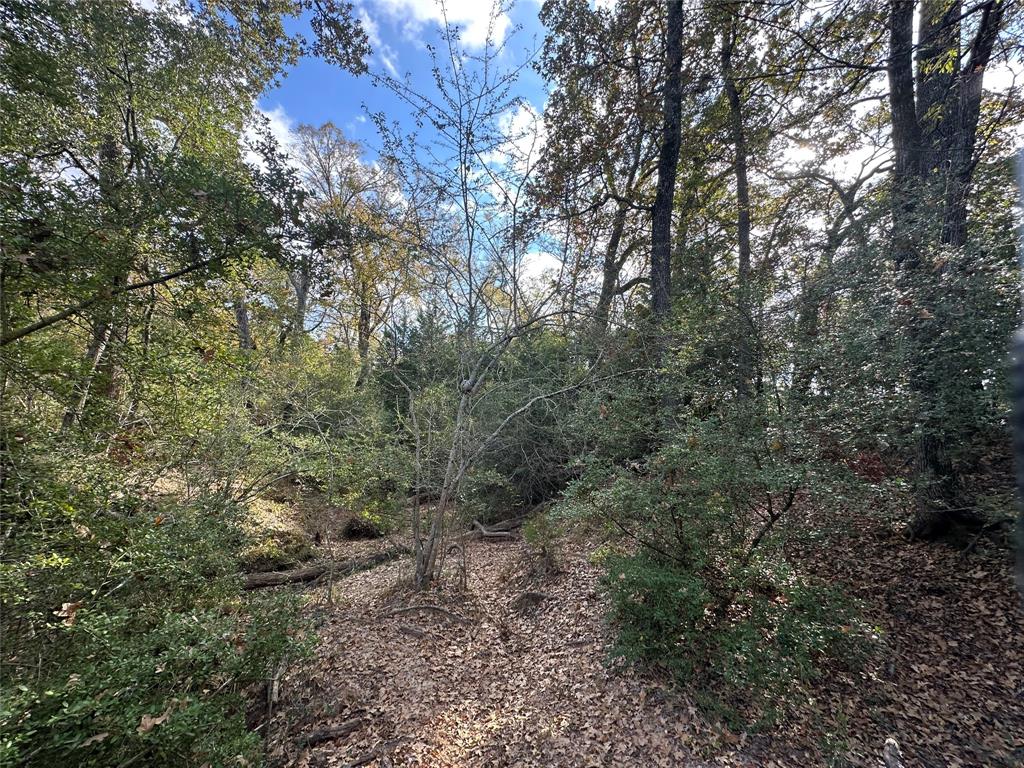 Tbd Lcr 758 Property Photo 22