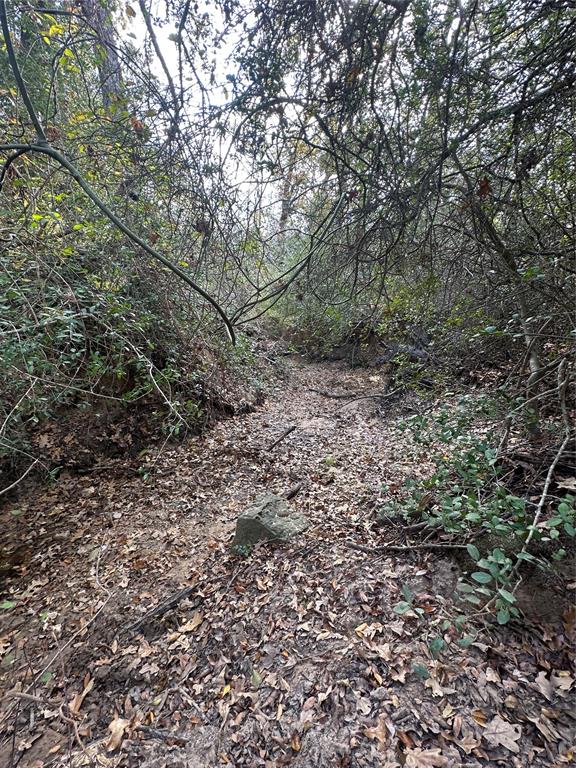 Tbd Lcr 758 Property Photo 23