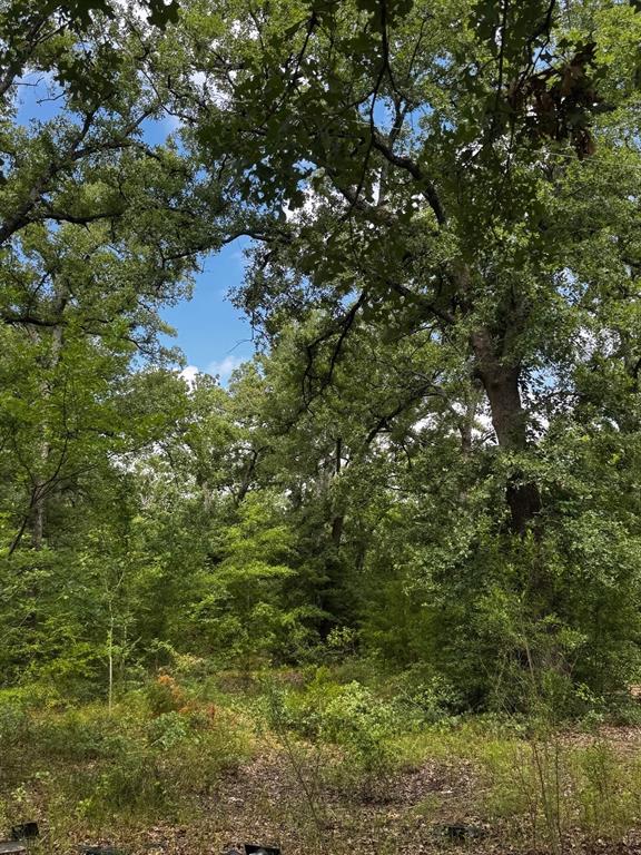 5200 County Road 45080 Property Photo 11