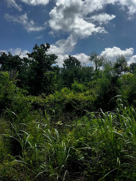 5200 County Road 45080 Property Photo 12
