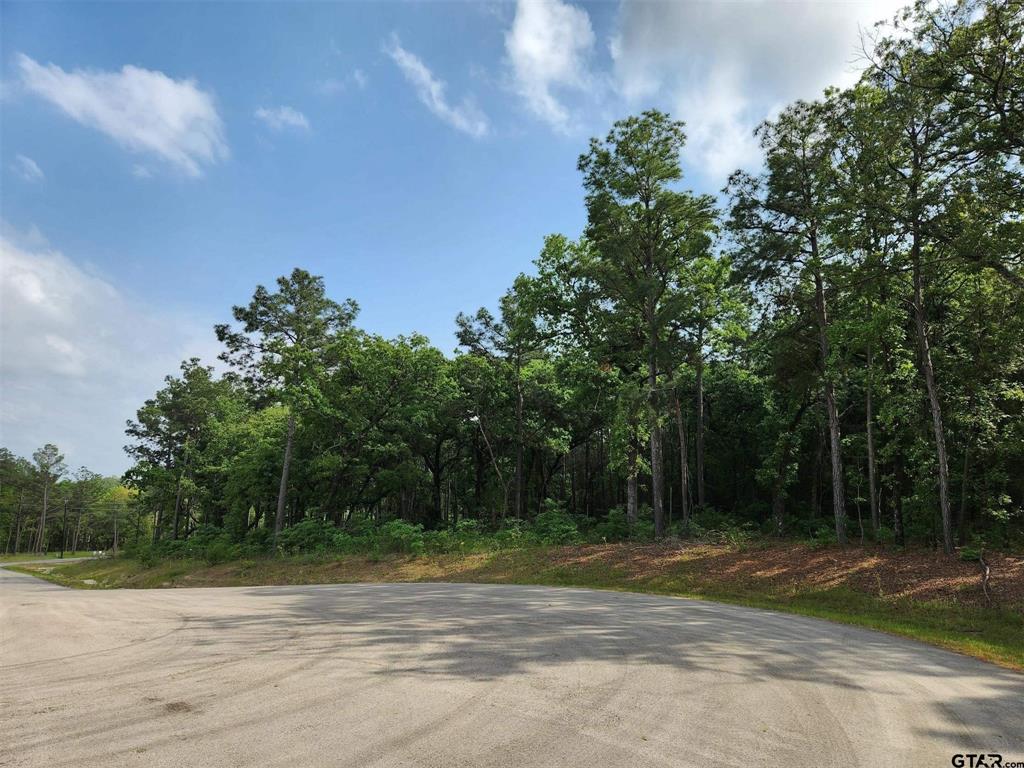 3281 Shadow Pine Drive Property Photo 1
