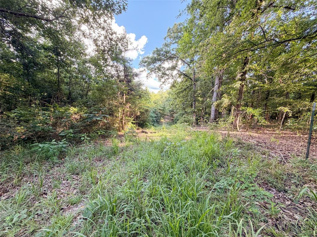 9822 Nasturtium Road Property Photo 33