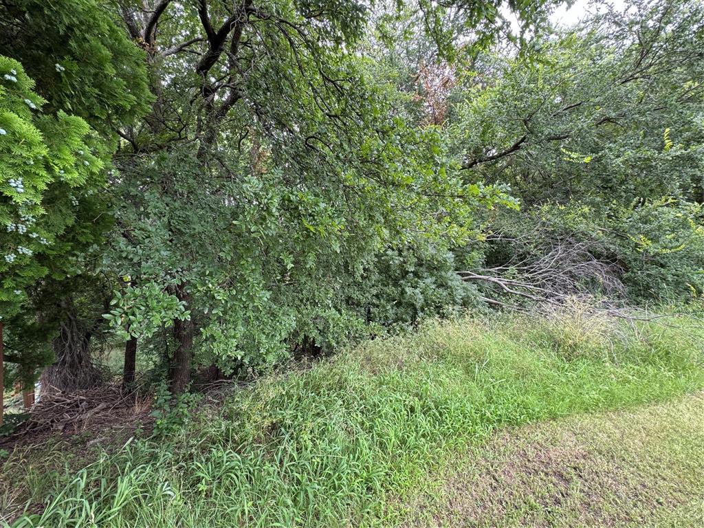 1804 Timberline Lane Property Photo 4