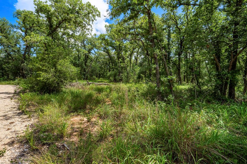 868 County Road 405 Property Photo 18