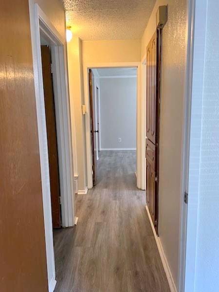 806 Phillips Drive Property Photo 21