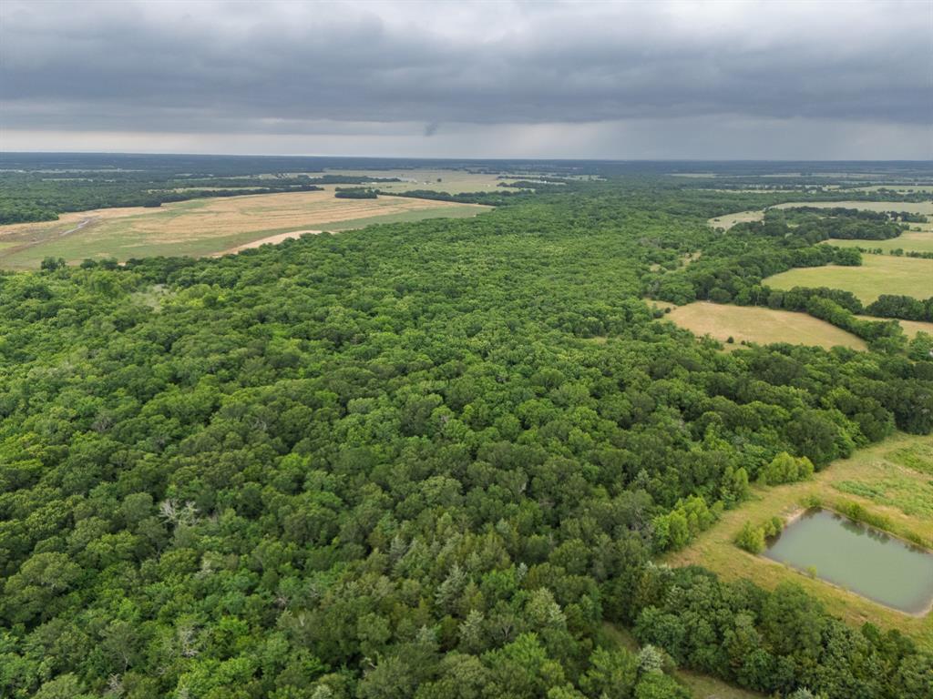 Tract 9 County Road 2158 Property Photo 1