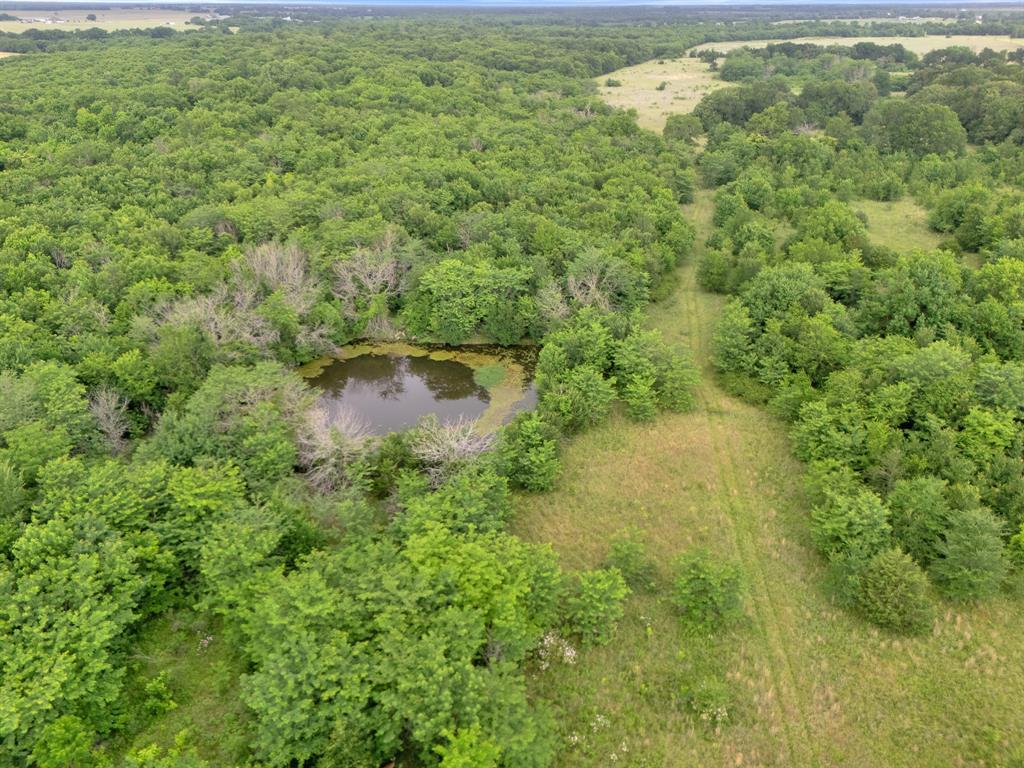 Tract 9 County Road 2158 Property Photo 7