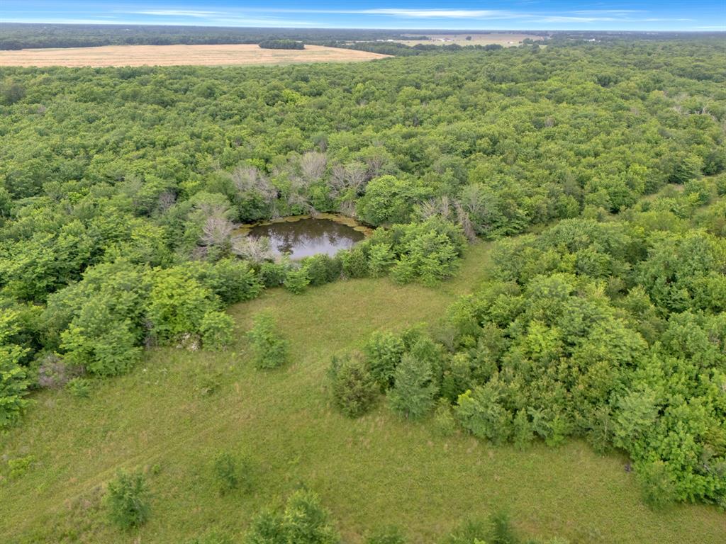 Tract 9 County Road 2158 Property Photo 8