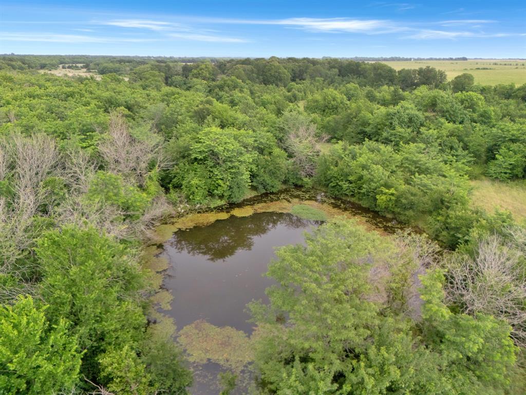 Tract 9 County Road 2158 Property Photo 10