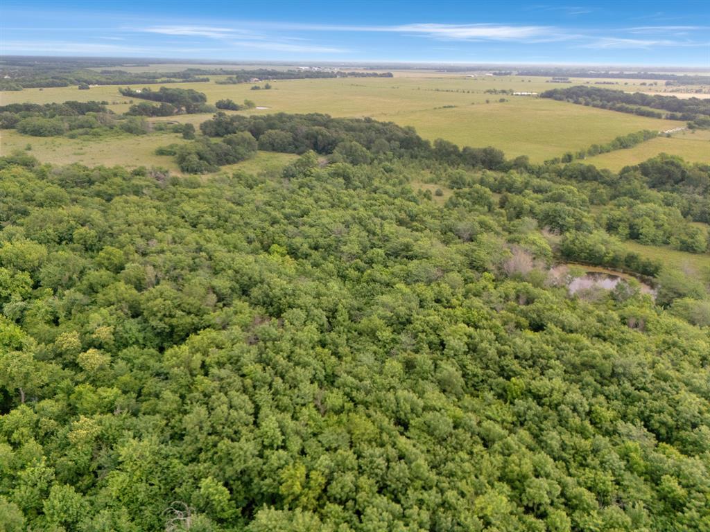Tract 9 County Road 2158 Property Photo 11