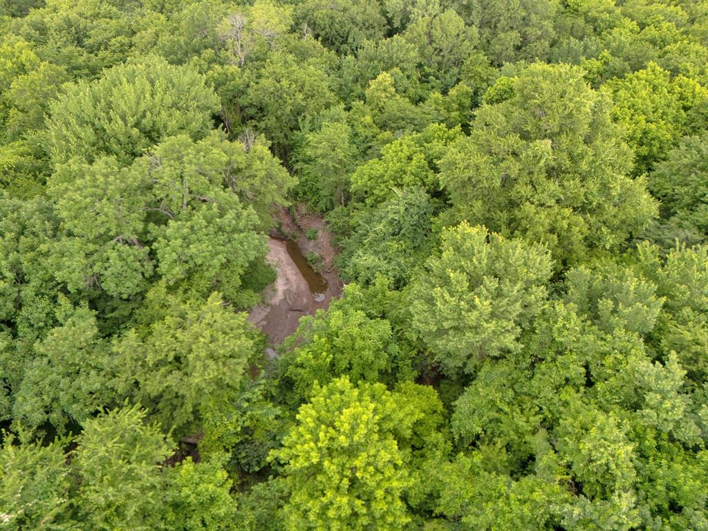 Tract 9 County Road 2158 Property Photo 12